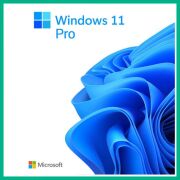 Microsoft Oem Windows 11 Pro 64 Bit Kutusuz İşletim Sistemi, Türkçe, FQC-10556